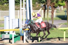 제4회 농림축산식품부장관배 대상경주 오라드림 우승