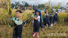 [르포] 우리 손으로 심은 벼가 이렇게 자랐어요...자연과 사람 잇는 신평리  생태교육의 장