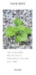 사진과 시로 표현한 효돈중 학생들의 철학