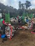 성산일출봉농협-고성리부녀회, 영농폐기물 수거활동 실시