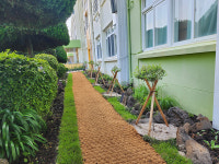 자연과 함께 자라는 제주 아이들...태흥초, 생태학교 숲 조성 완료