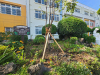 자연과 함께 자라는 제주 아이들...태흥초, 생태학교 숲 조성 완료