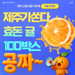 제주도, 고향사랑기부제 여름 이벤트로 귤 100박스 쏜다