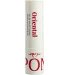 풀밭 속 작은 파란별 반디지치…제주 기억과 생명력 품은 꽃