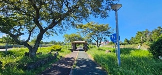 제주도, 번영로·신대로·연북로 도시숲, 제주숲 핫플 3곳 선정