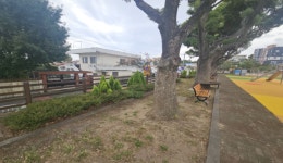 서귀포초·법환초에 학교숲 조성된다…예산 1억2000만원 투입