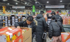 비상품 감귤 도매시장 유통 정황에…서울로 날아간 서귀포시