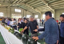 여름 제철 수박 사세요…제주 애월읍 신엄리 직거래장터 개장