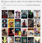 화제의 그 녀석, 넷플릭스 한 달 리얼 사용기