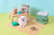 대상펫라이프 닥터뉴토, 신제품 올라이즈 강아지 한입 미니 펫밀크 P 출시