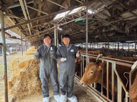 라이브케어, 13억 생체 빅데이터 기반 AI 구제역 방역 플랫폼 공개