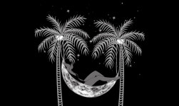  블랙 앤 화이트로 빚어낸 환상