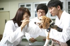 건국대, 수의학교육인증 최고 등급 획득