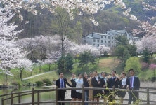 호서대, 아산 대표 벚꽃 명소로 자리매김