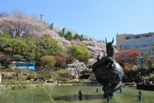 중앙대 건강간호대학원 후반기 신입생 모집