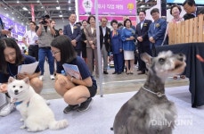 뜸뜨고 머리하고 전문대학 진로·직업 체험 박람