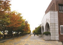 [WCC특집/광주보건대학교] 글로벌 경쟁력을 갖춘 헬스-프로 양성 대학