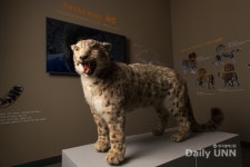 전북대 자연사박물관, 새단장해 지역민 맞는다