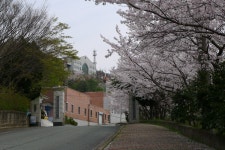 동아보건대학교, 농촌재능나눔 특화마을 조성 시범사업 선정