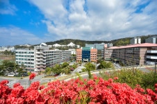 조선이공대, 야구부 창단