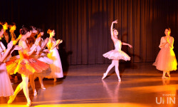 지도교수 앞에서 뜨거운 눈물 훔친 제자들, 세종대 무용과 졸업작품 발표