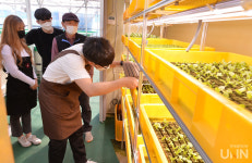 스마트팜 각광 속 내년 스마트팜과 신설하는 송곡대