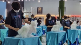 동원대 반려동물과, 애견미용대회 은상