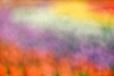 우석대 평생교육원, 사진반 졸업전시회 26일 개최