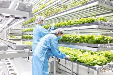 [신산업분야 특화 선도전문대학/연암대학교] 데이터 기반 스마트팜 분야 인재 양성의 메카 스마트팜융합전공