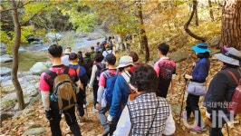 가톨릭관동대 님(林)과 함께 걸어요-대굴령의 가을숲 성료