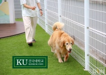 건국대 미래지식교육원, 애완동물관리전공 신설…신입생 모집