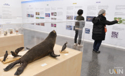 알록달록 전시장 압도하는 이화여대 자연사박물관 기획전