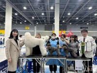 서정대, 반려동물과 애견미용콘테스트 동상 수상