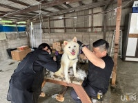 서정대 학교기업 펫인쥬, 유기견센터 봉사 실시