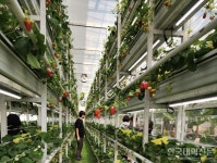 서정대, 2025학년도 그린농식품가공학과 전공심화 신설… 스마트팜 실습교육 강화