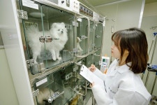 [2026 수시/ 서정대학교] 국가인증‧국시 100% 합격… 전문직업교육 선도한다