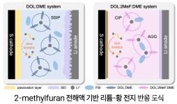성신여대 신민정 교수팀, 차세대 리튬 금속·리튬-황 전지 수명 및 성능 개선