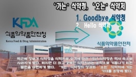생동·탤크파동 등 대형악재 식약청엔 약