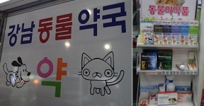 참 재미있는 곳이다 추천받는 이 약국엔