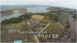 경주 김씨 충암공 후손인 내 친구 응일이