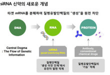신약 R&D 협력모델 제시한 유한양행과 바이오니아