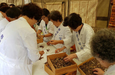 한의사 처방, 약사는 조제…축제현장의 한방분업