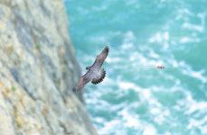 약사에 이만한 취미도 없죠…뷰파인더로 세상보기