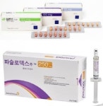 입랜스·파슬로덱스 병용급여 재도전...이번엔 될까?