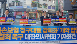 실손보험 청구 간소화법 저지 거리로 나선 의사들