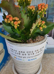 불황·마스크 고충에도 꽃핀 수원 약사들의 이웃사랑