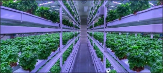 한방원료 표준화 앞장...10만평 식물공장 설립