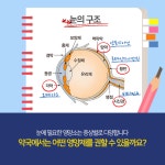 눈이 피로해요...약국 눈영양제 권매 가이드