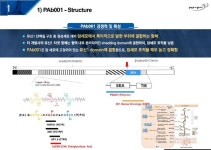 펩트론 中 수출 항체신약, CAR-T로 추가계약 추진