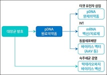 이연제약, 800억 충주공장 주요 파트너 누가 있나